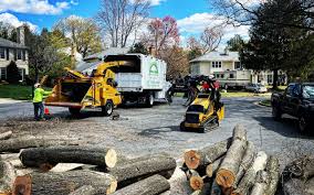 Best Storm Damage Tree Cleanup  in Whiting, WI