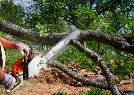 Mulching Services in Whiting, WI