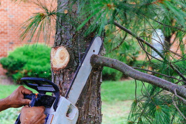 Best Emergency Tree Removal  in Whiting, WI